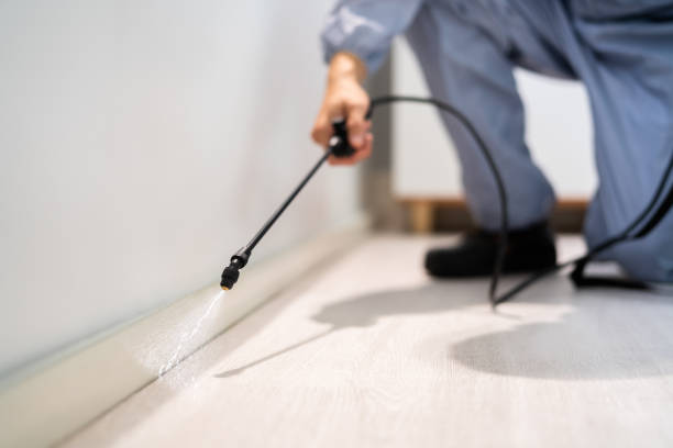 Licensed Pest Control service in Belleair Beach, FL - Show Me Pest Control