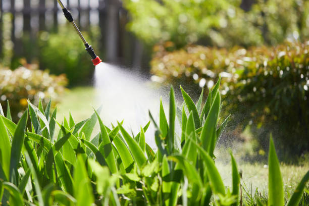 24/7 Emergency Mosquito Control experts in Belleair Beach, FL