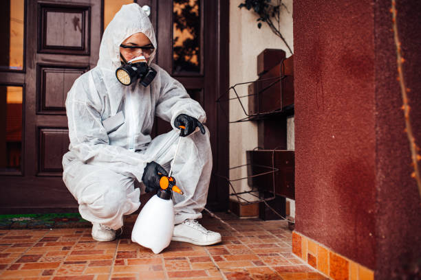 Reliable Mosquito Control contractor in Belleair Beach, FL by Show Me Pest Control